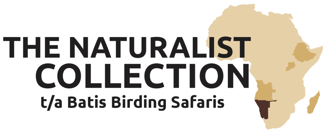 Batis Birding Safaris logo