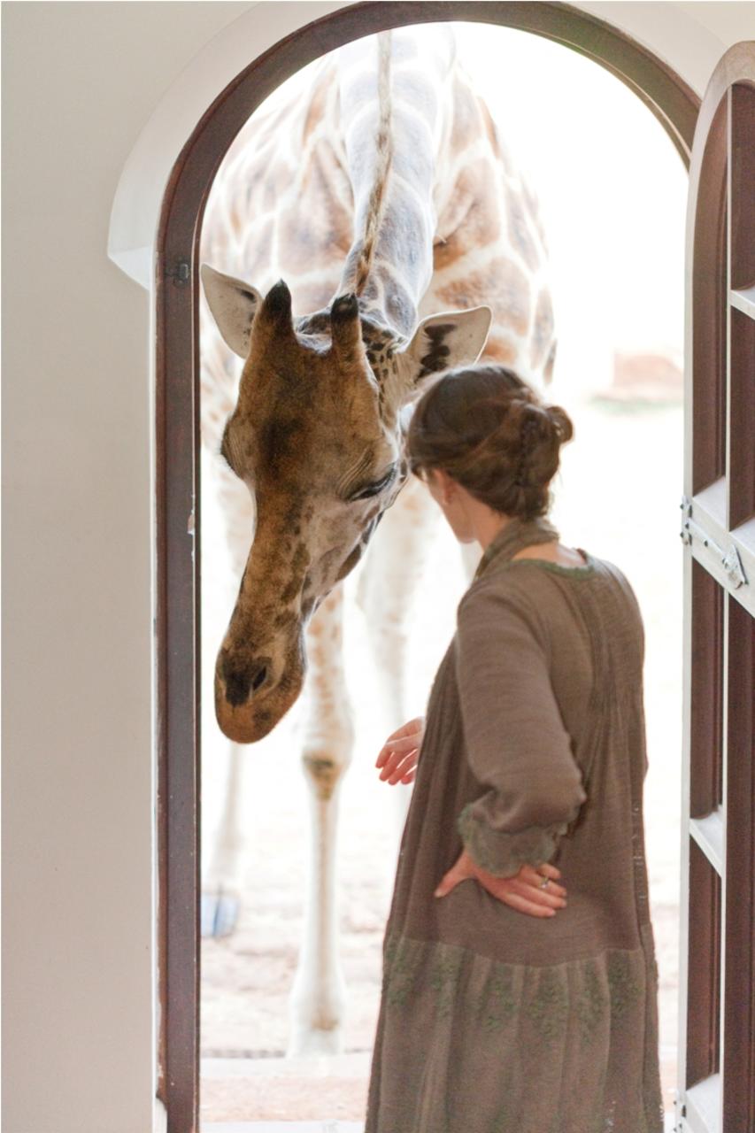 Giraffe Manor - Photos