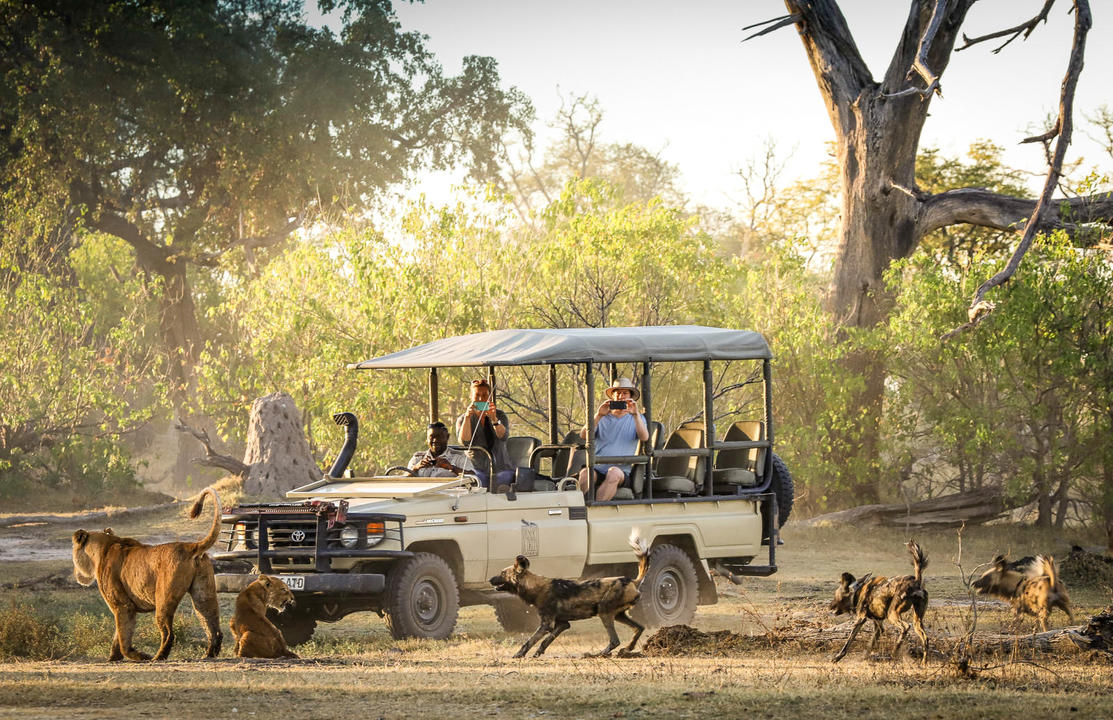 Flodsafari Chobe Princess 3 nätter