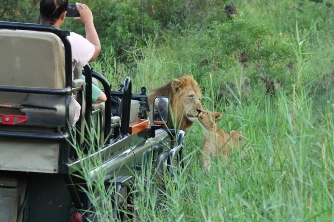 Lyxsafari i Kruger – vi bjuder på sista natten