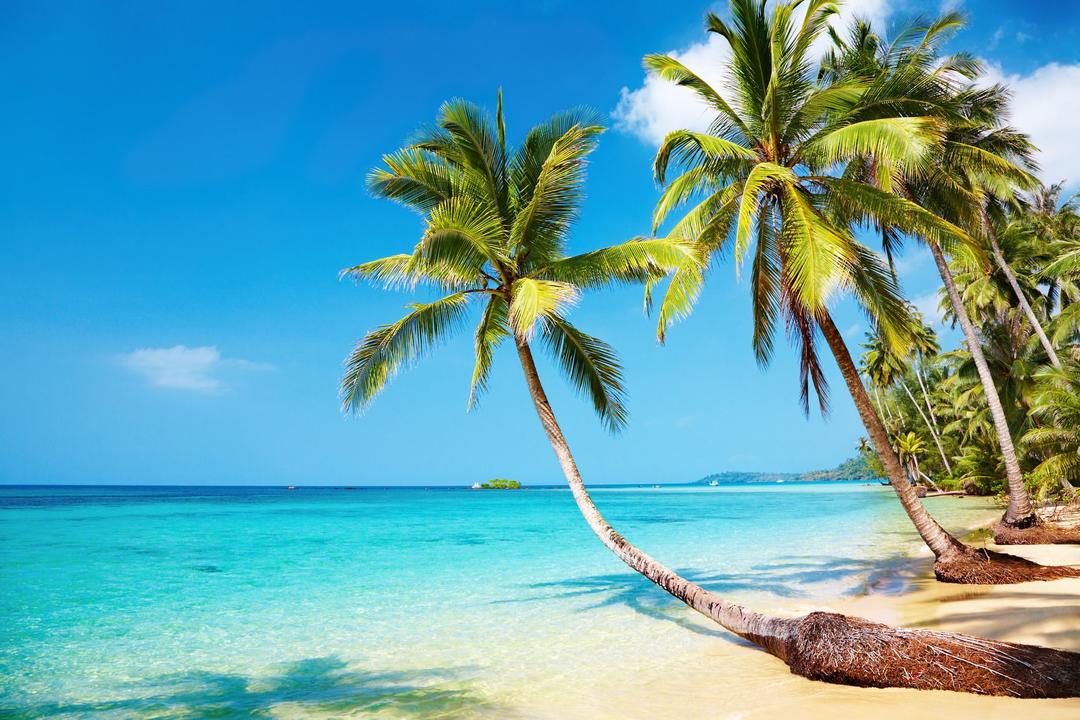Öparadiset Fiji