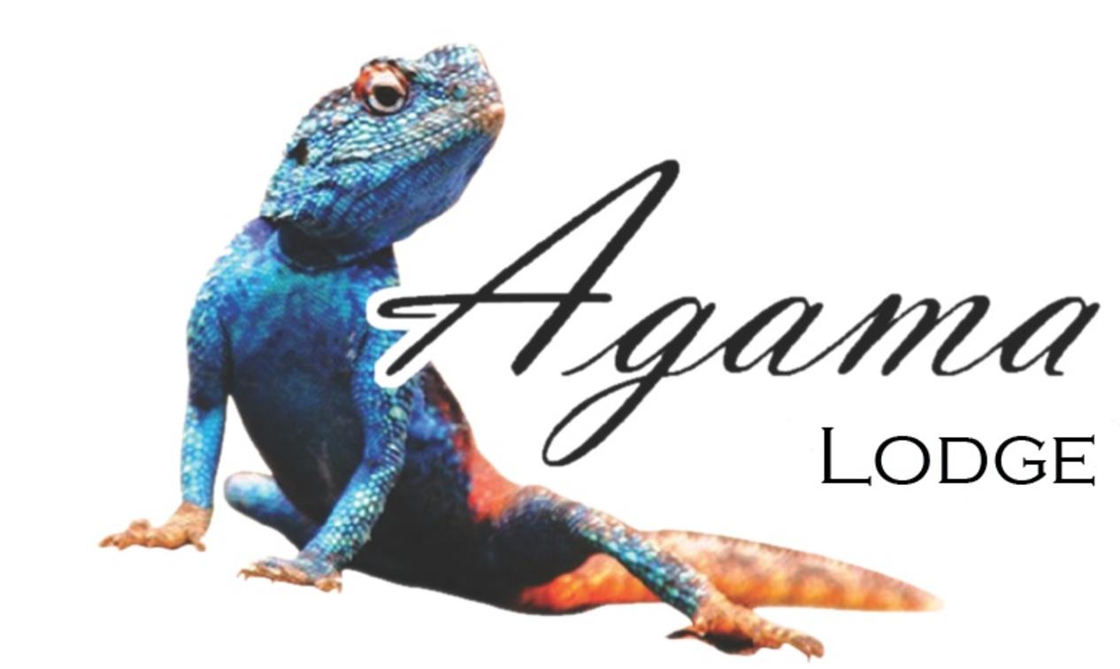 Agama Lodge Foto's