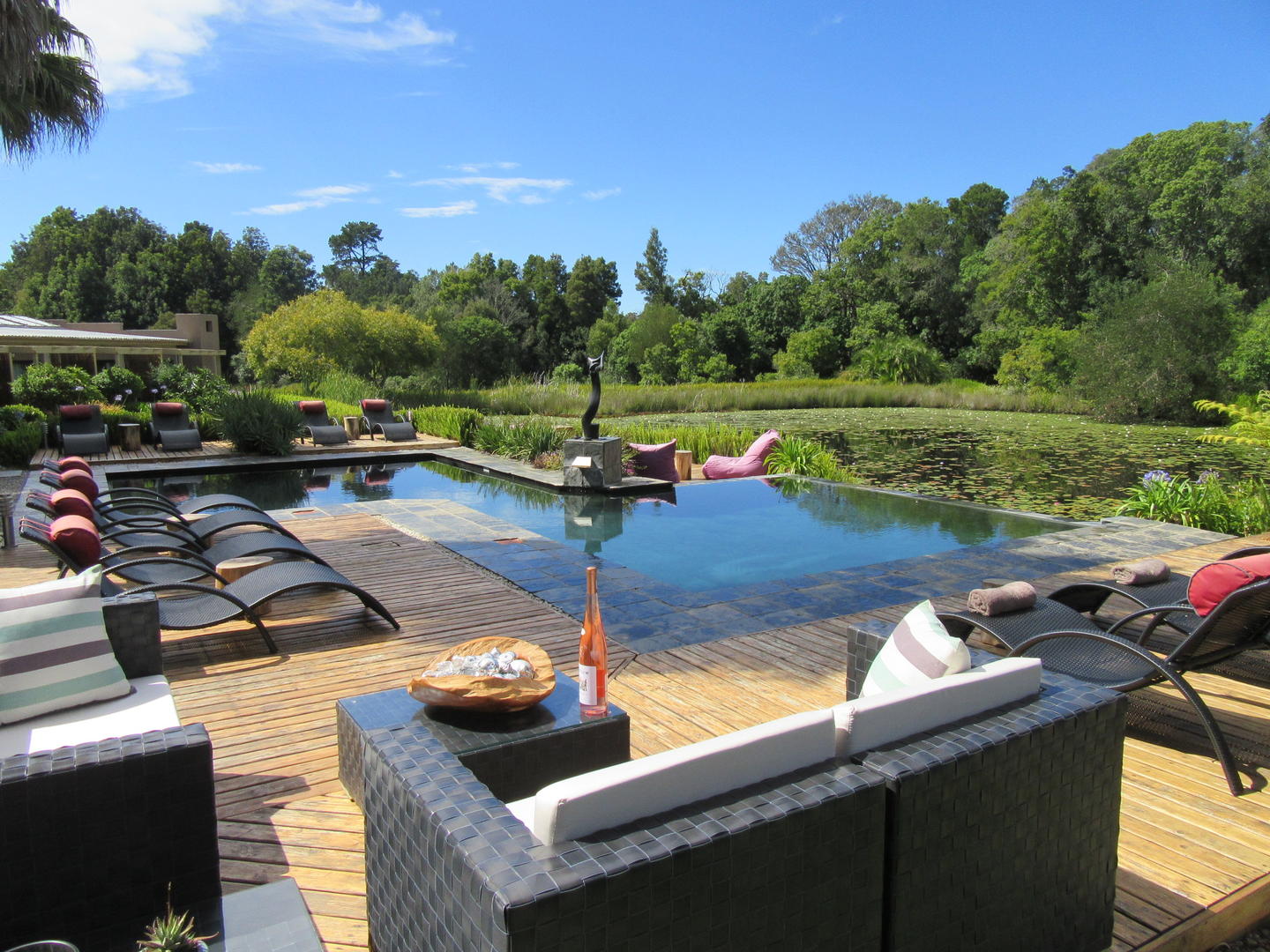 Lily Pond utsikt över poolen och Lily dammar
