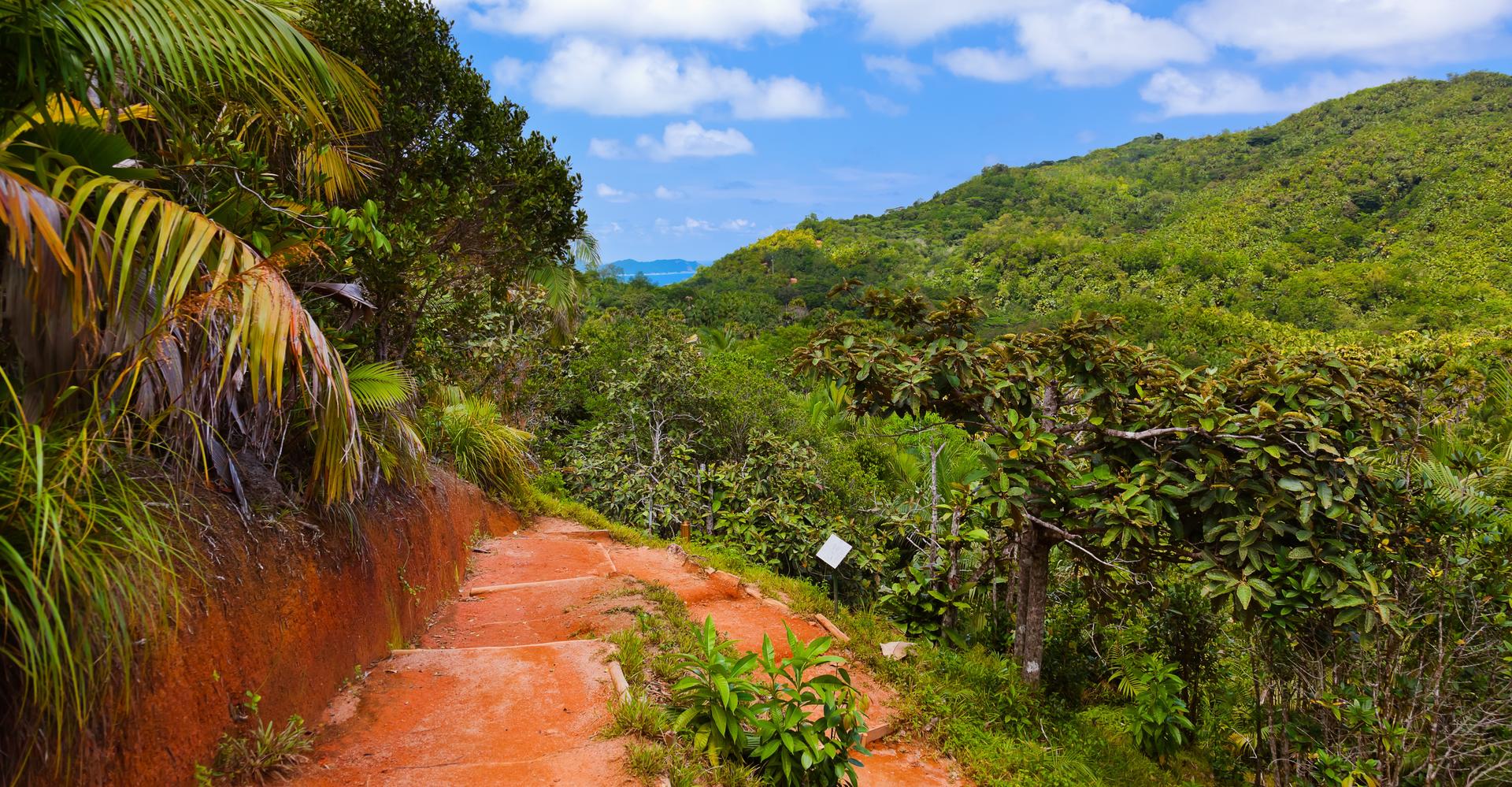 Heldag på ön Praslin