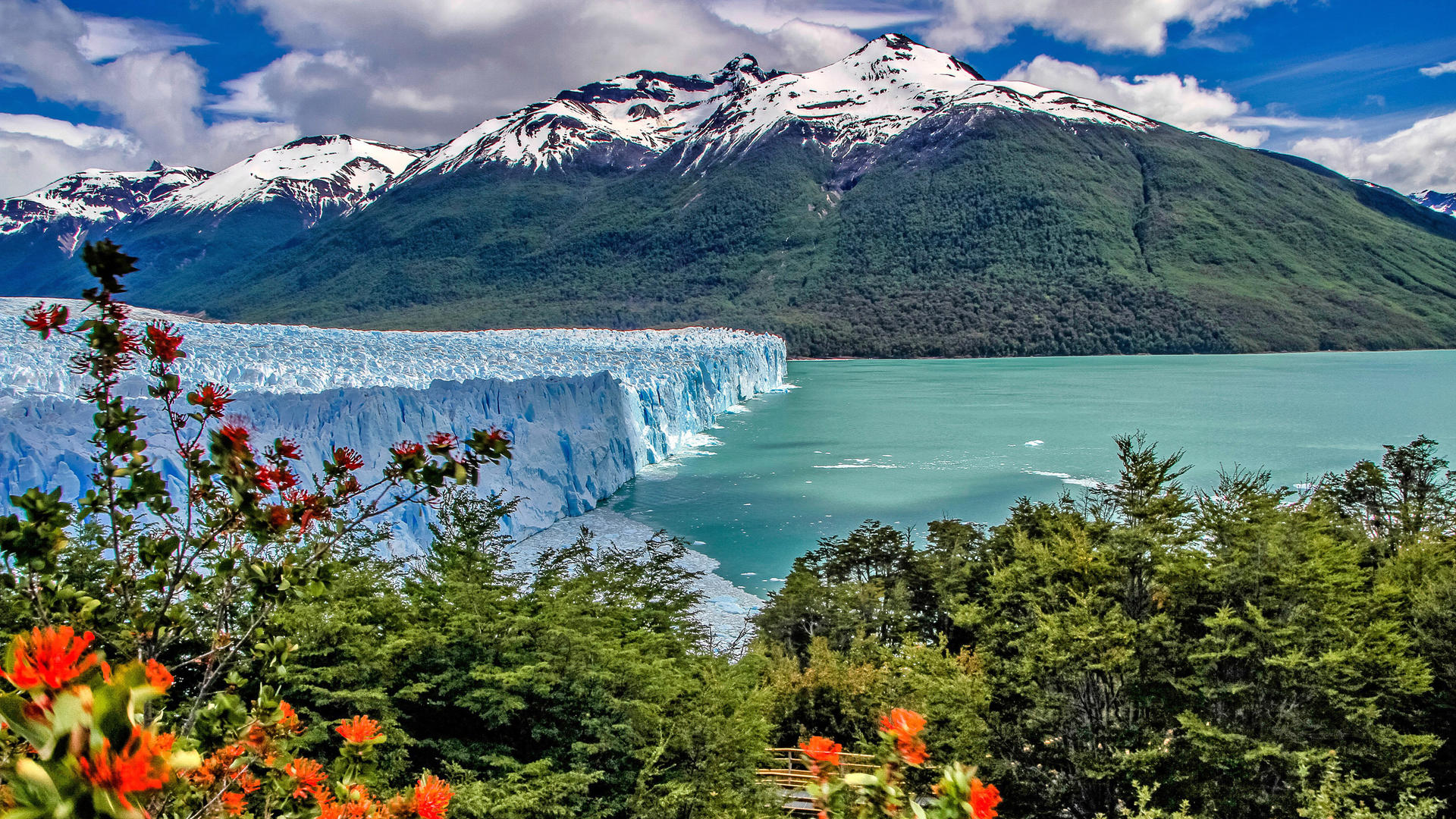 Buenos Aires och Patagonien
