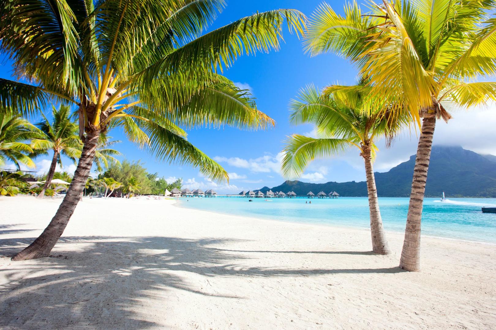 Tahitikryssning