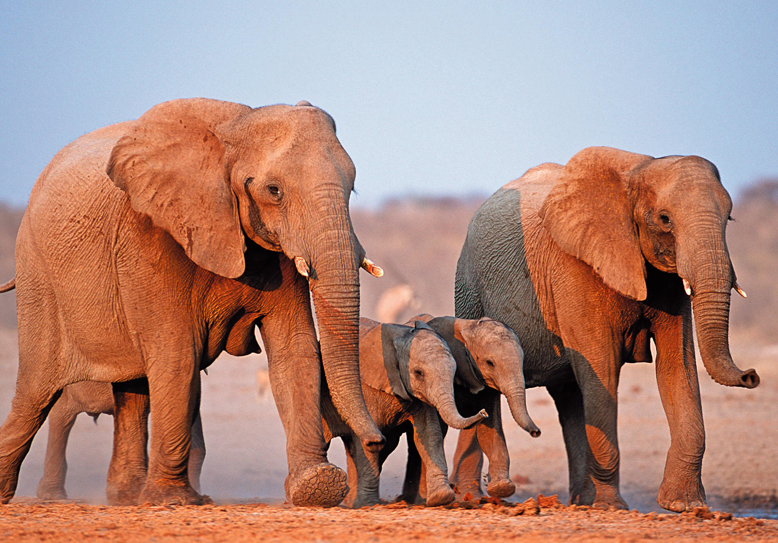 Namibia, Zimbabwe och Botswana