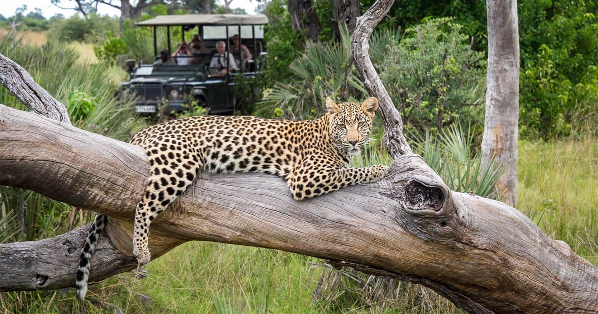 Okavango och Makgadikgadi Pan