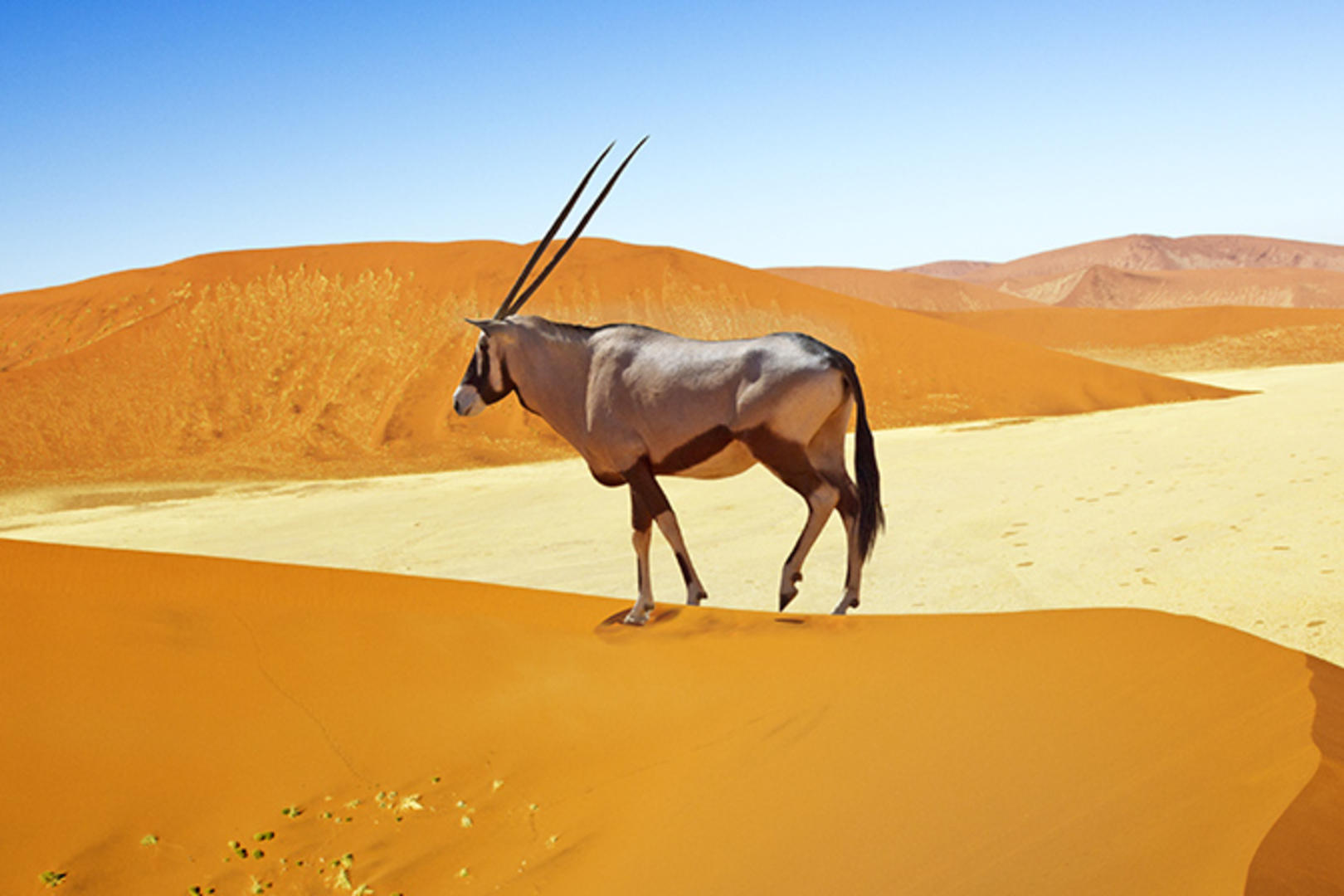 Namibia till Victoriafallen