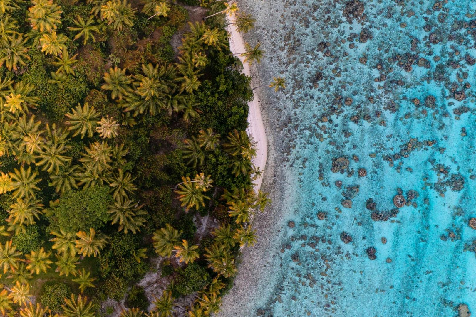 Tahitikryssning