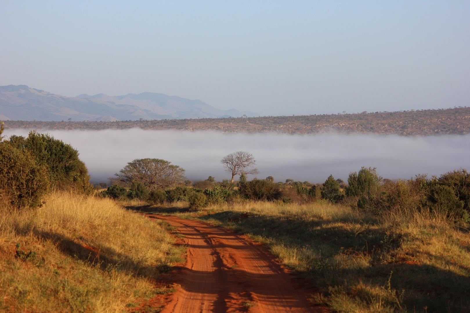 Safari i Tsavo och Taita Hills