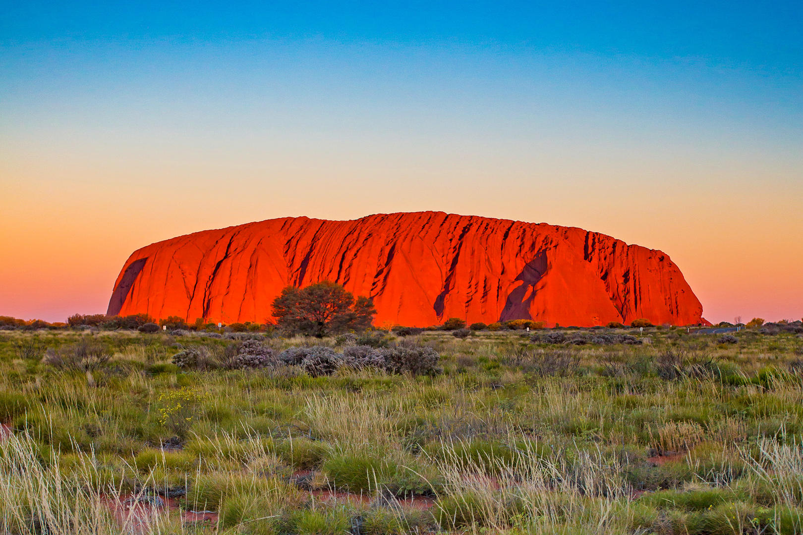 Soluppgång vid Ayers Rock