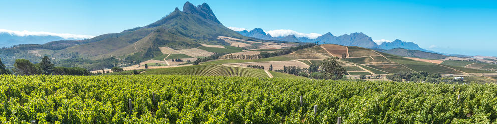 Franschhoek