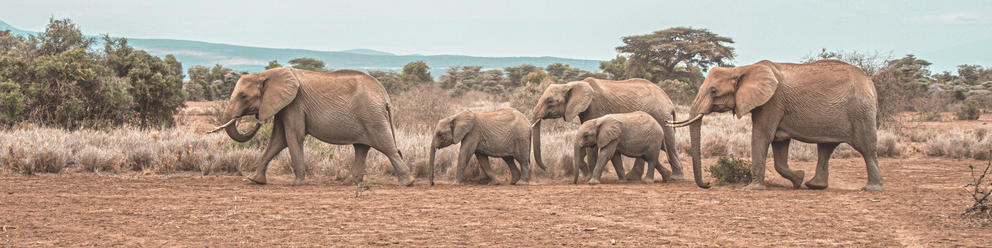 Arusha National Park