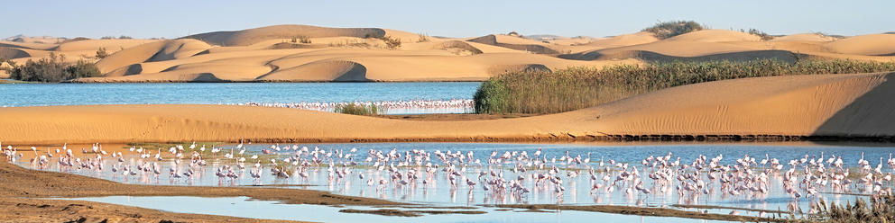 Walvis Bay