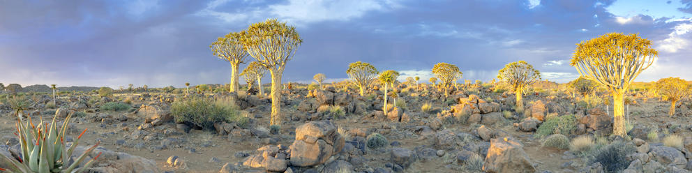 Keetmanshoop