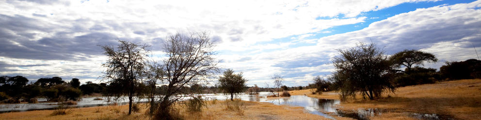 Boteti River