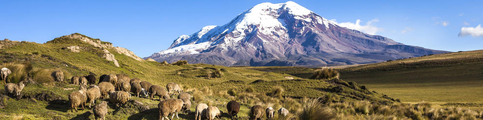 Riobamba