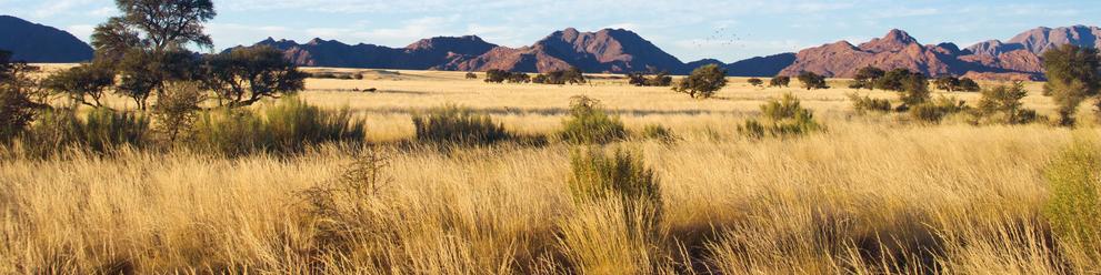 Otavi Mountain Region