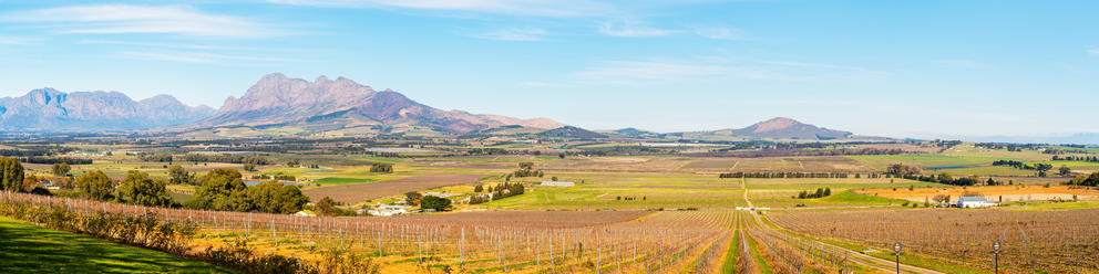 Cape Winelands