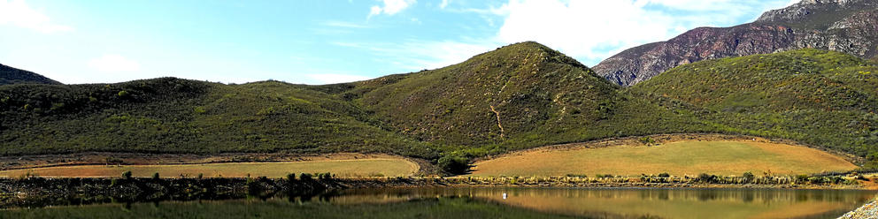 Montagu