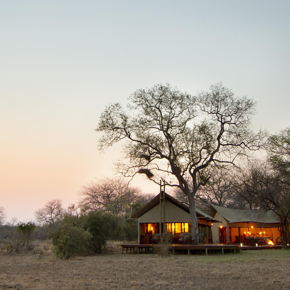 Rhino Walking Safaris Plains Camp & Sleep Outs-item-0