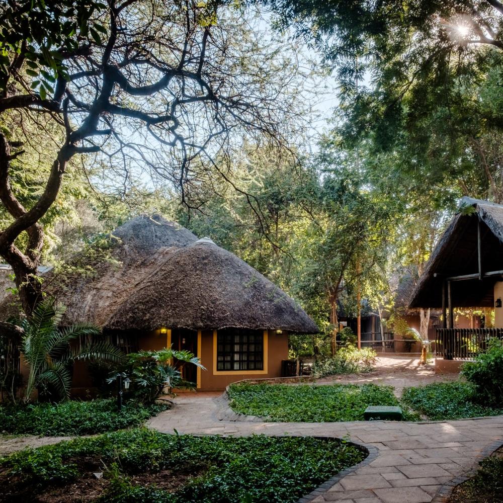 Chobe Marina Lodge-item-0