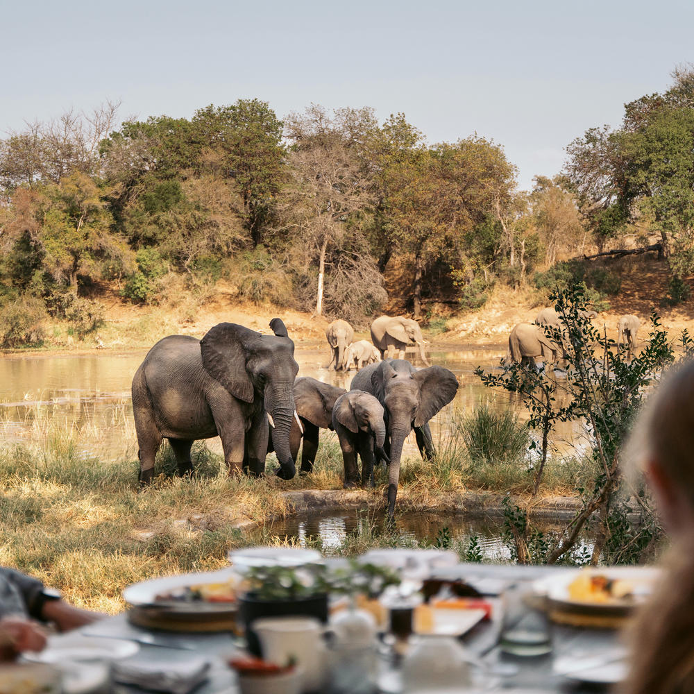 Simbavati River Lodge-item-0