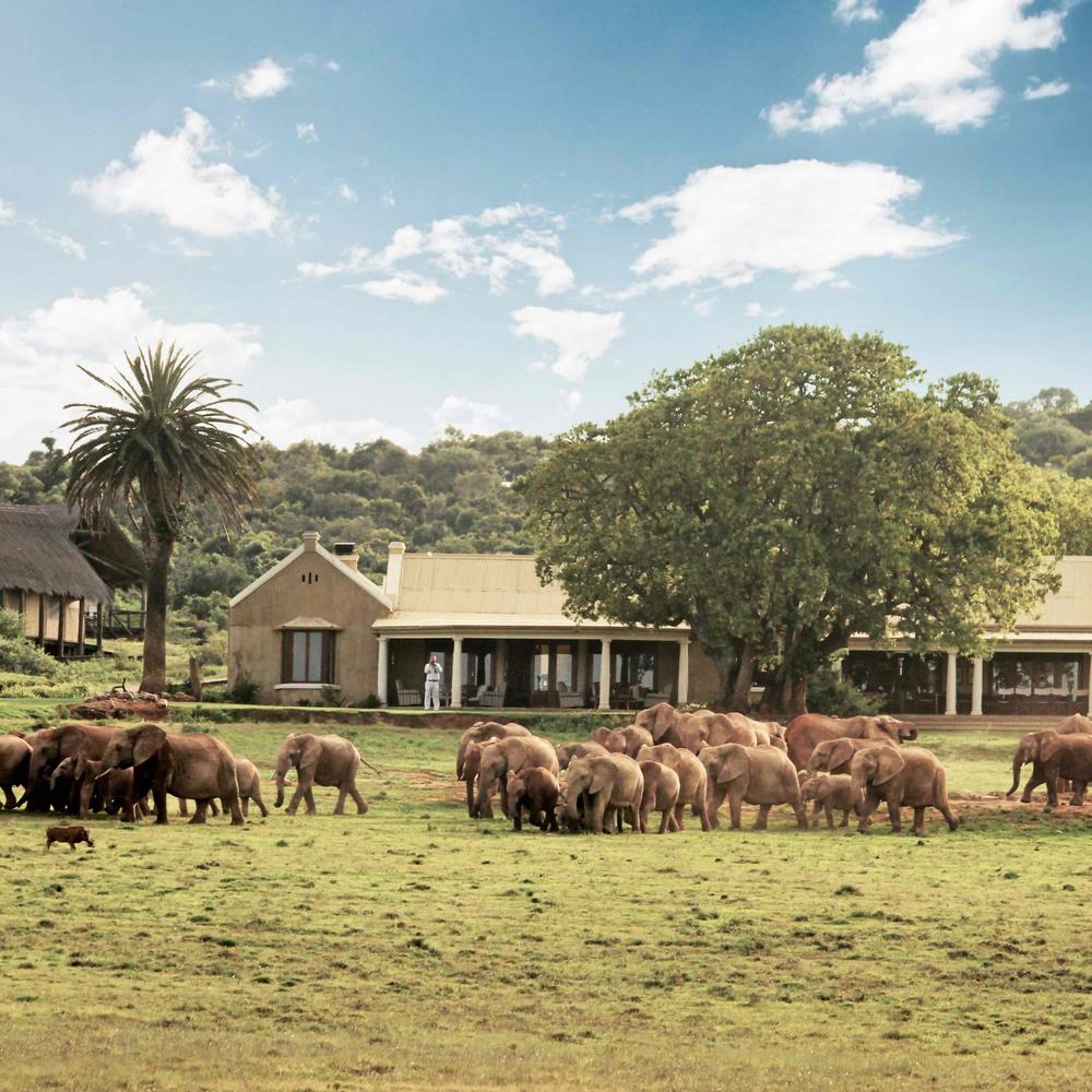 Gorah Elephant Camp-item-0