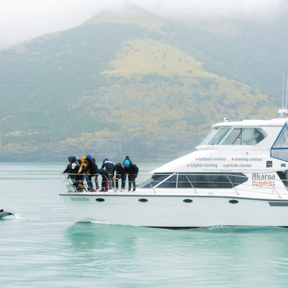 ATS Pacific New Zealand-item-0