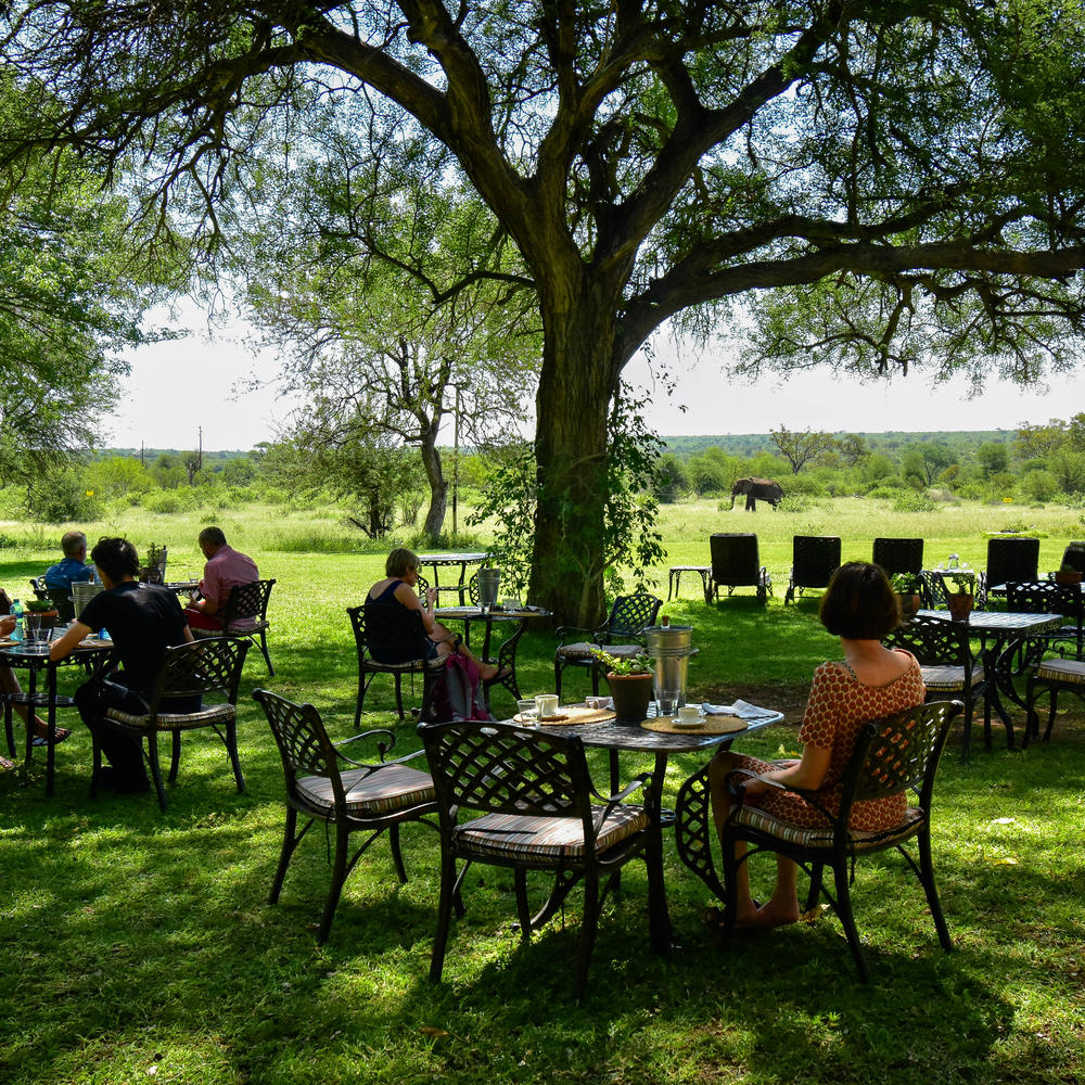 Mohlabetsi Safari Lodge-item-2