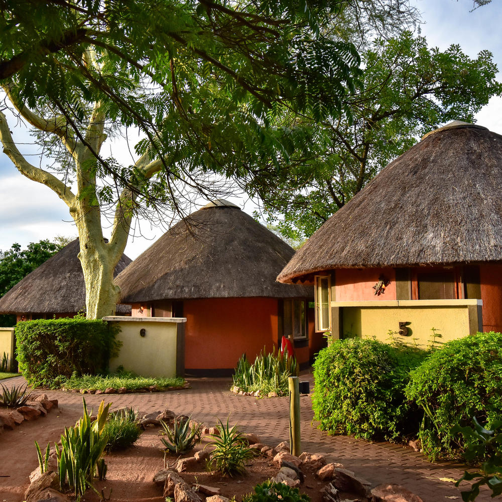 Mohlabetsi Safari Lodge-item-0