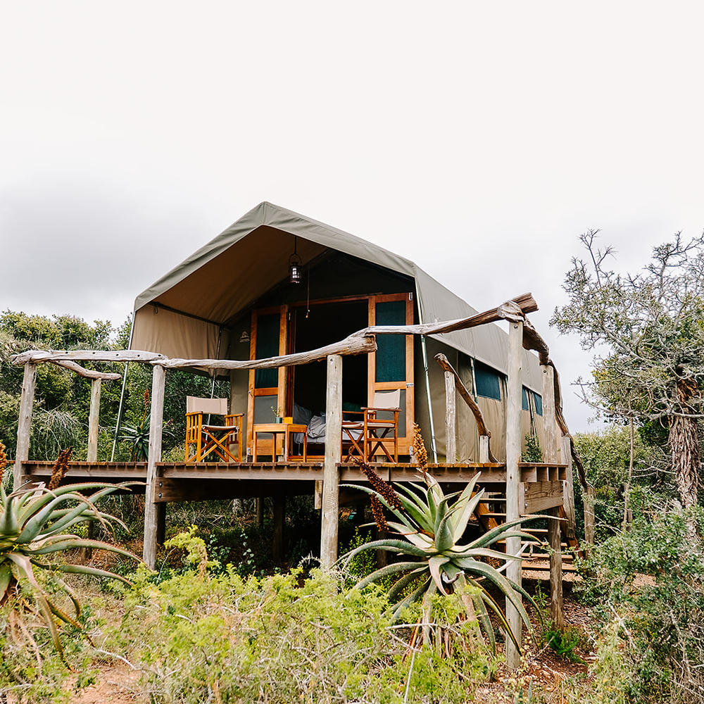 Amakhala: Woodbury Tented Camp-item-0