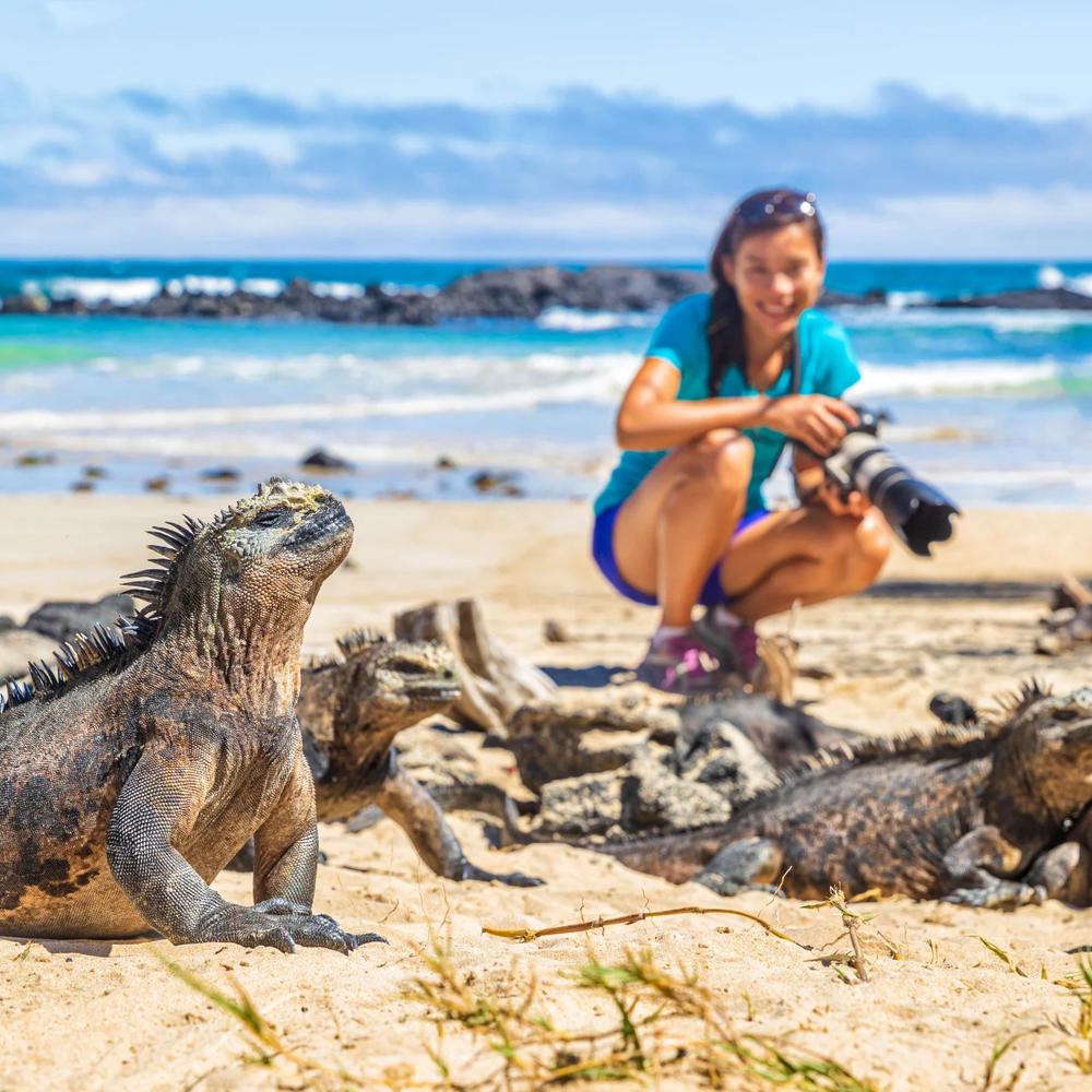Go Galapagos-item-0