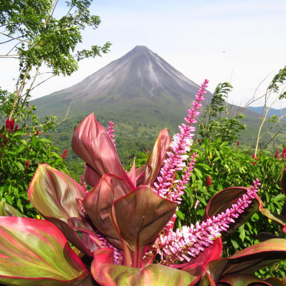 Swiss Travel Costa Rica-item-0