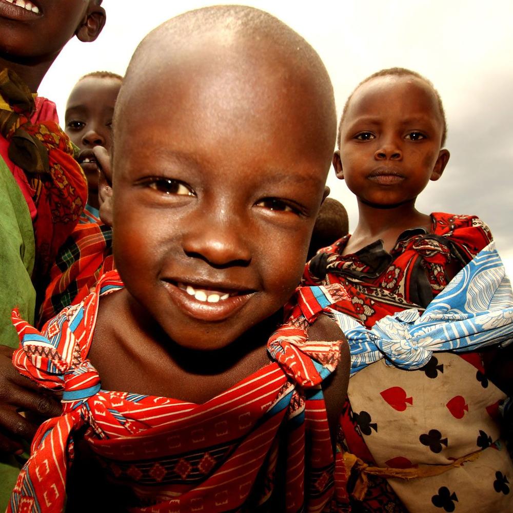ARP Africa-item-2