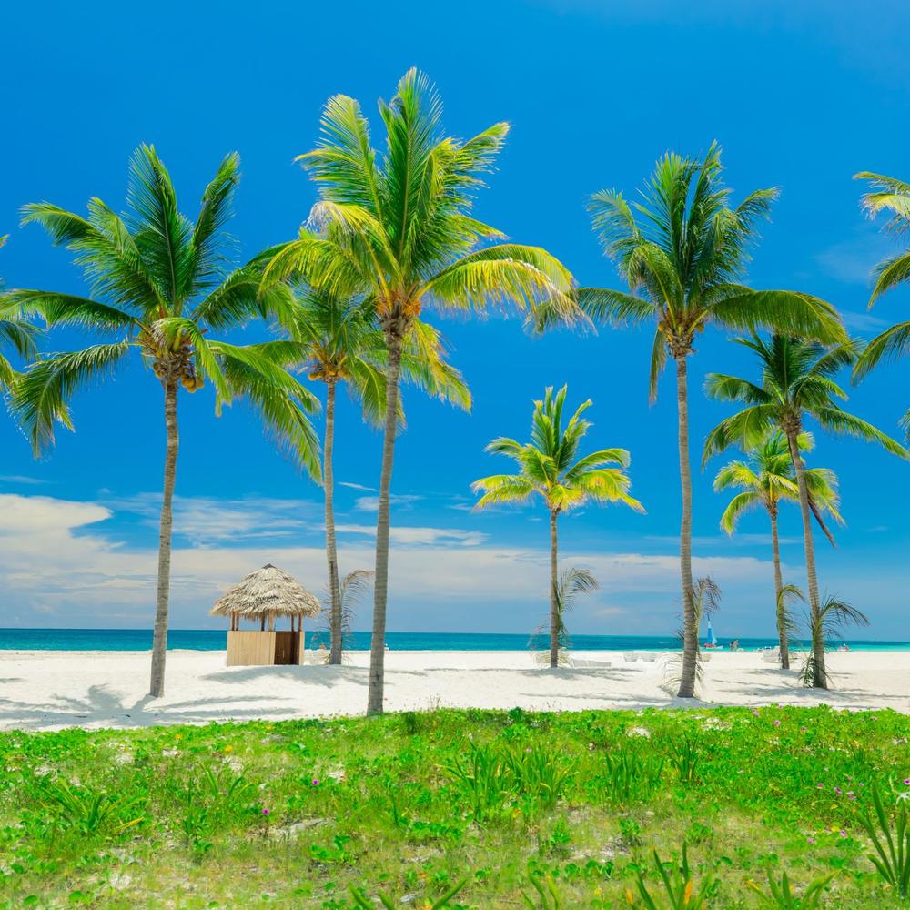 Caribbean Tours AG-item-0