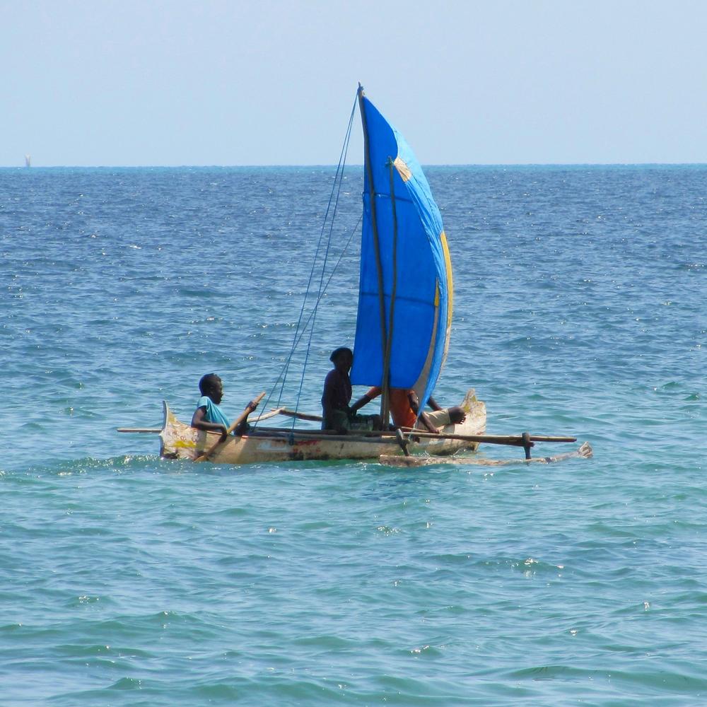WAU Madagascar-item-1