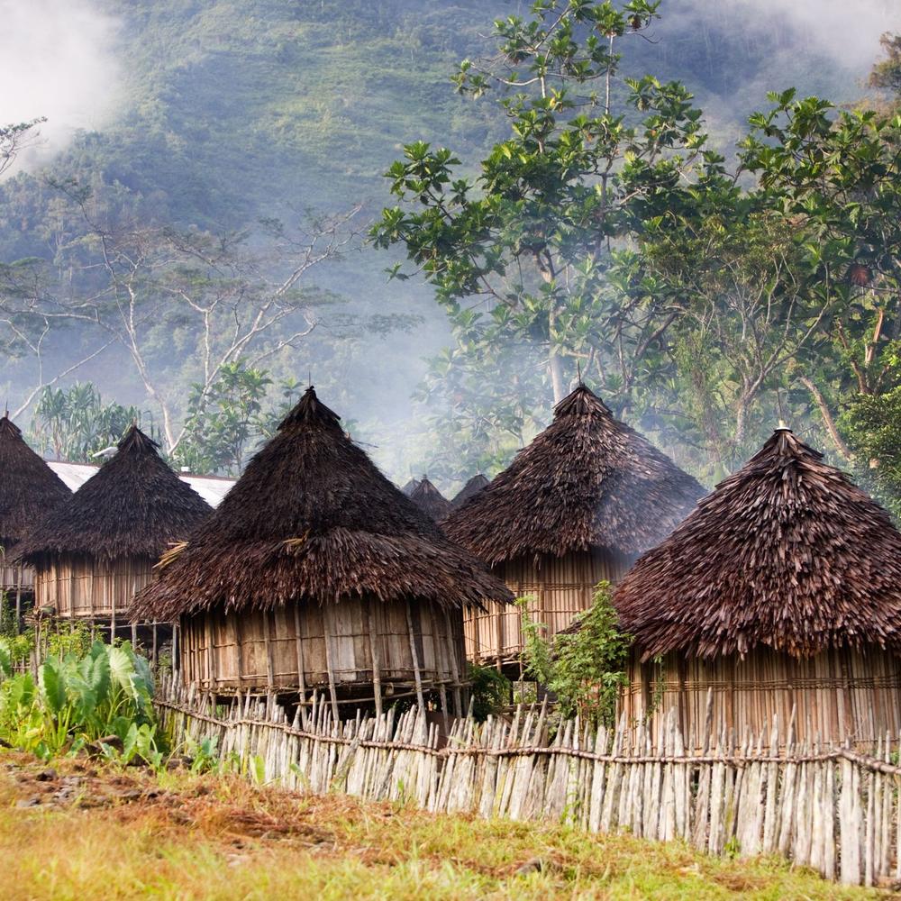 Trans Niugini Tours-item-0