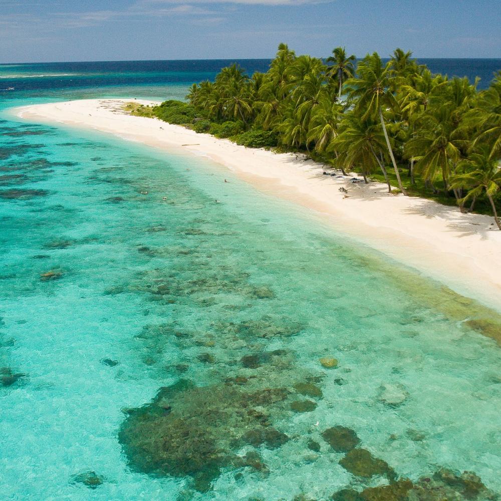 Trans Niugini Tours-item-2