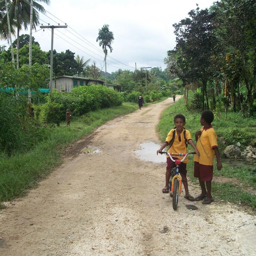 Trans Niugini Tours-item-1