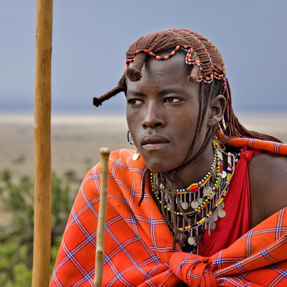 ARP Africa-item-2