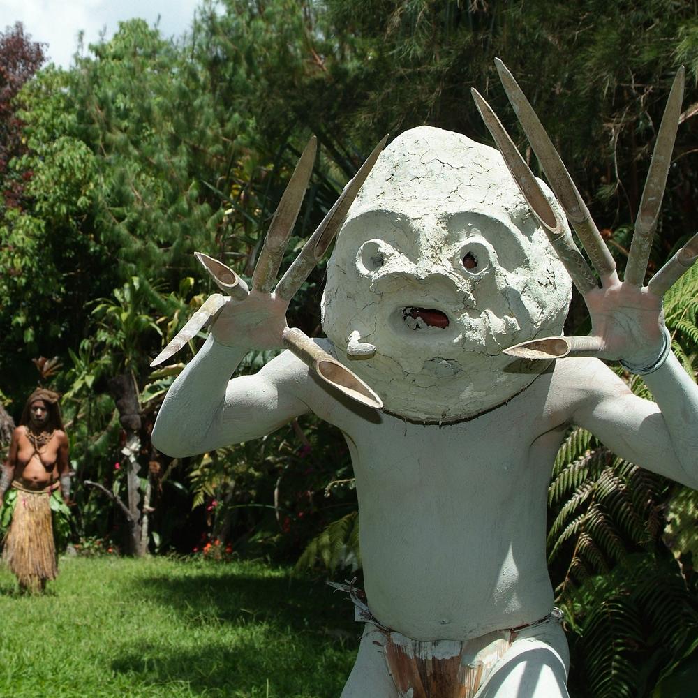 Trans Niugini Tours-item-1