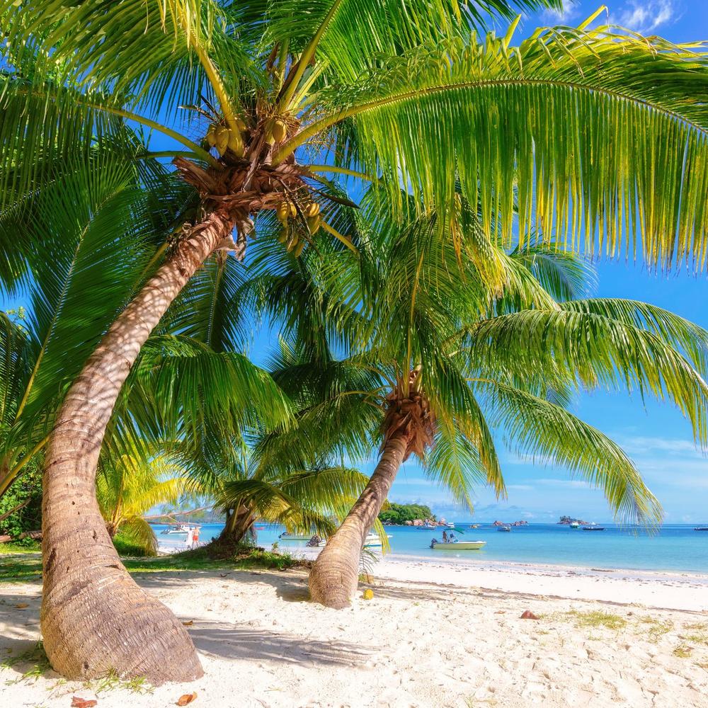 Mason's Travel-item-2