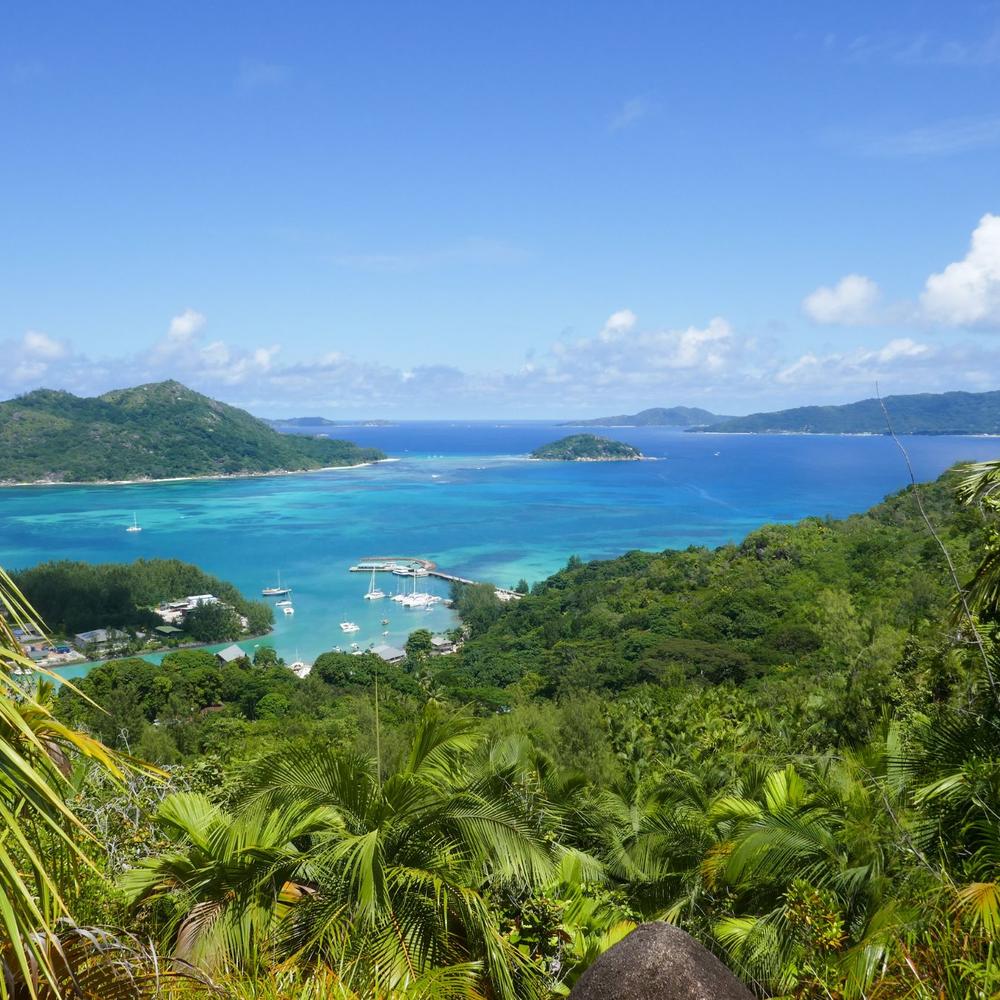 Mason's Travel-item-0