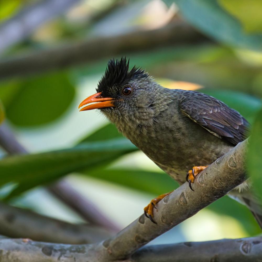 Mason's Travel-item-1