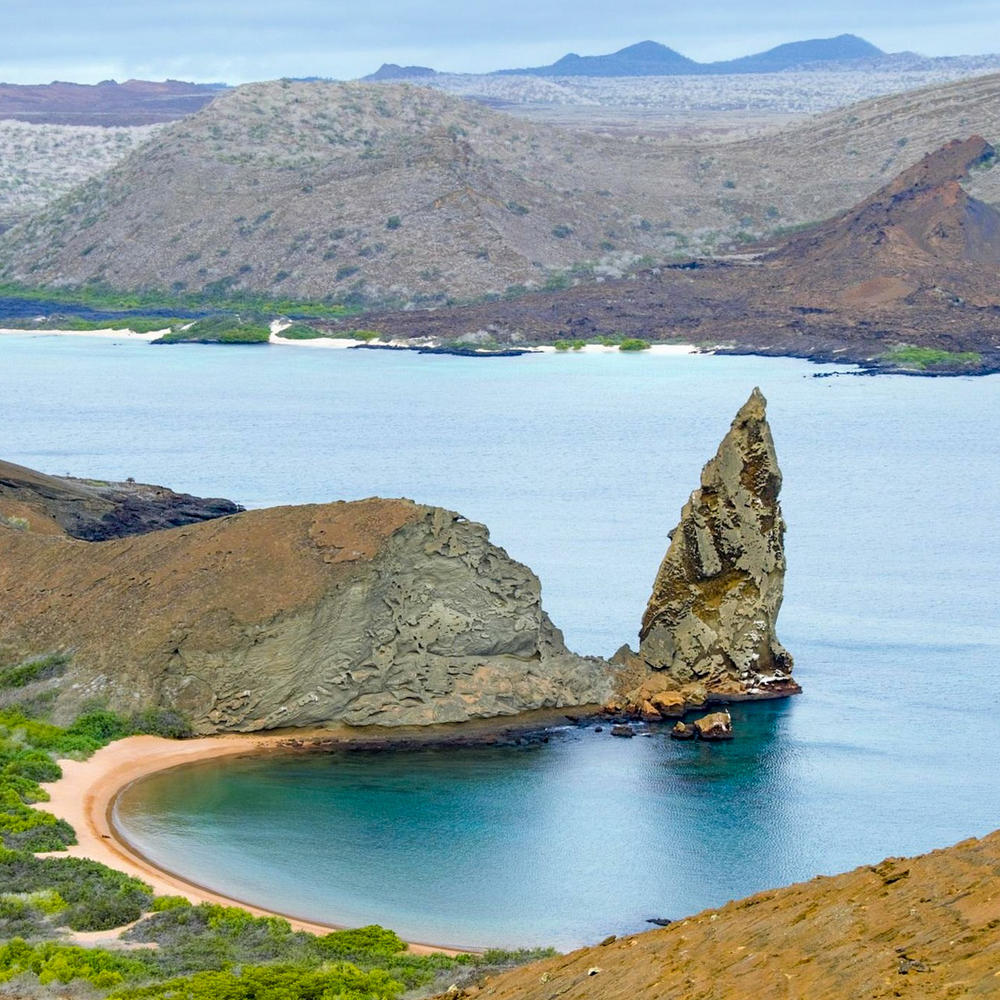Go Galapagos-item-0