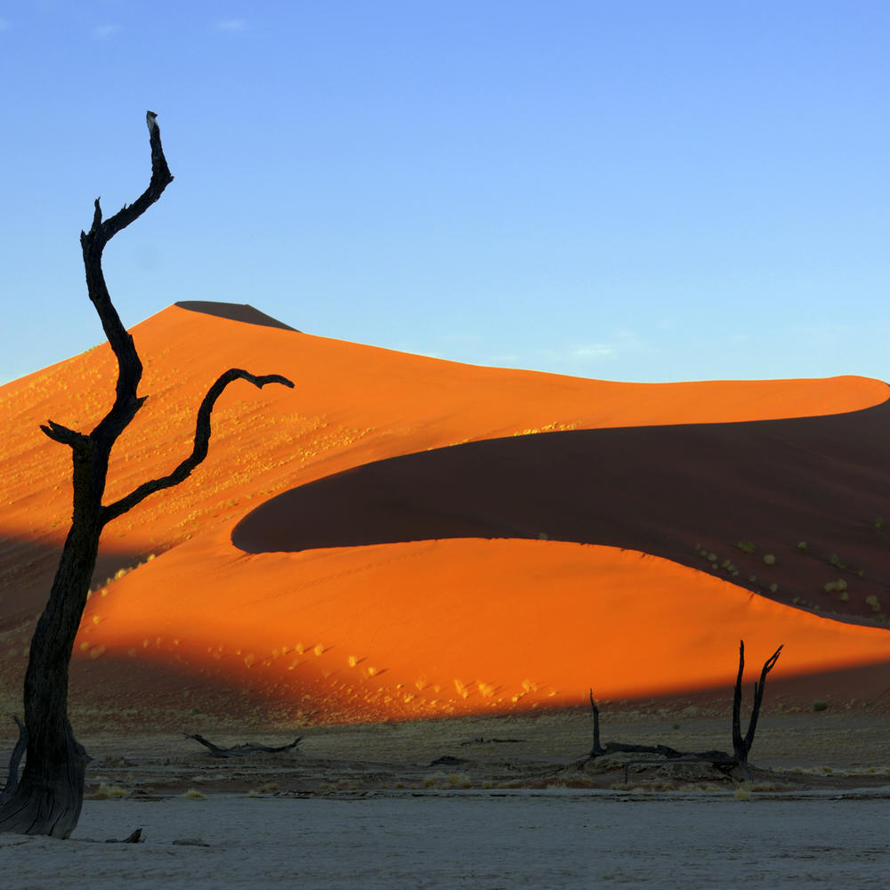 Sense of Africa-item-0