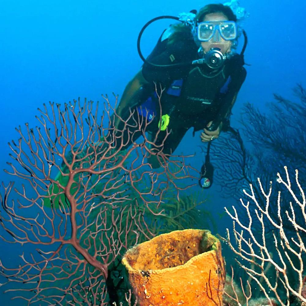 Caribbean Tours AG-item-2