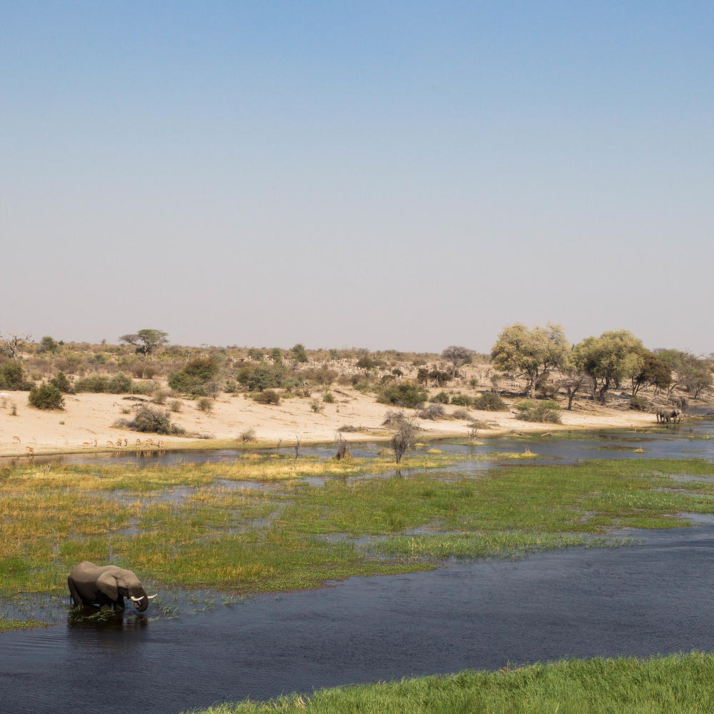 Desert and Delta-item-0